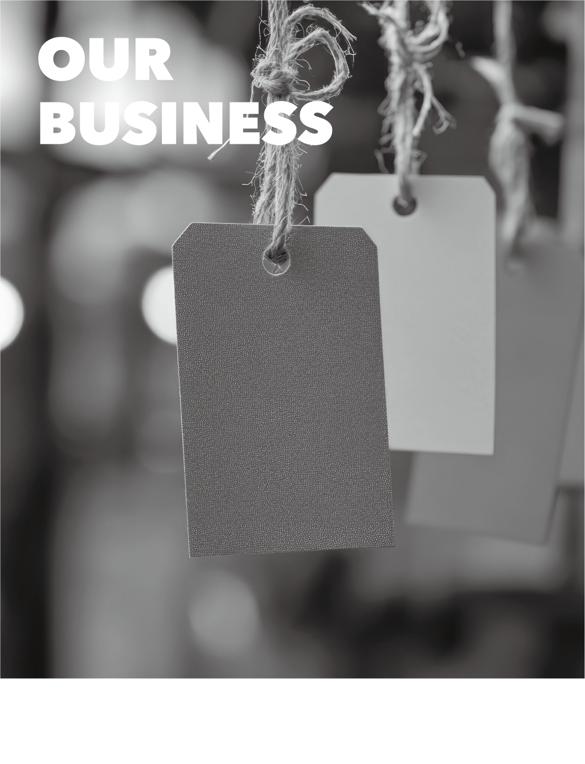OUR BUSINESS